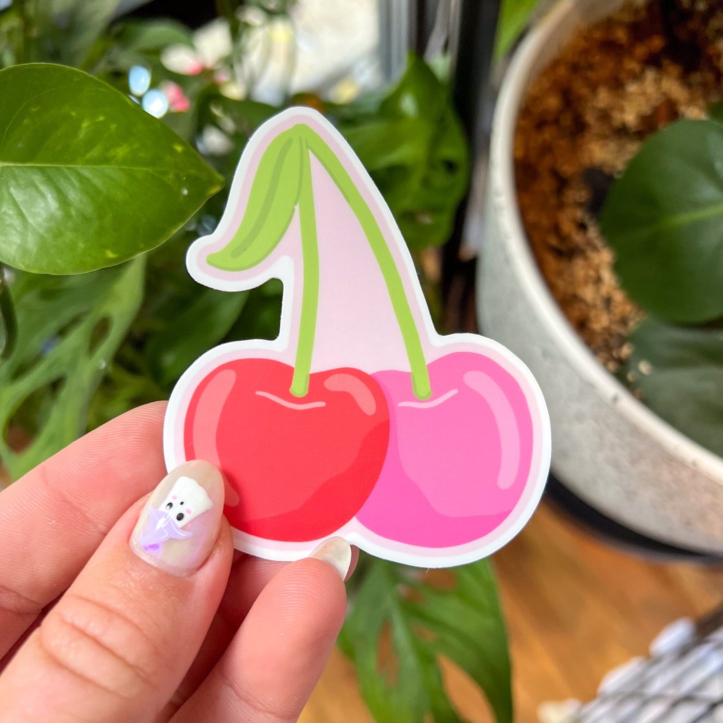 Cherry Sticker