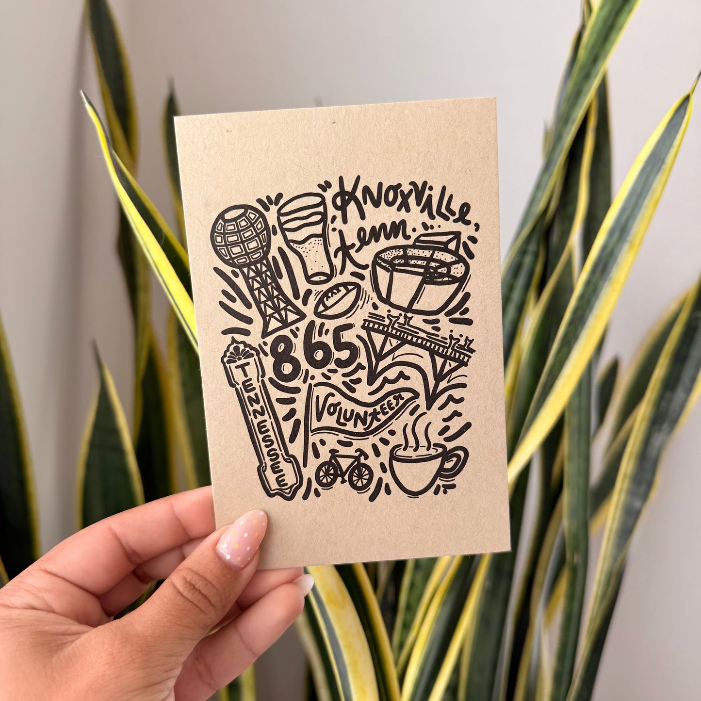 Knox Icons Postcard