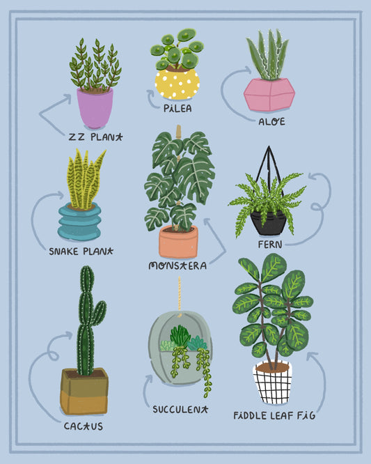 Plants - Print - 8x10"